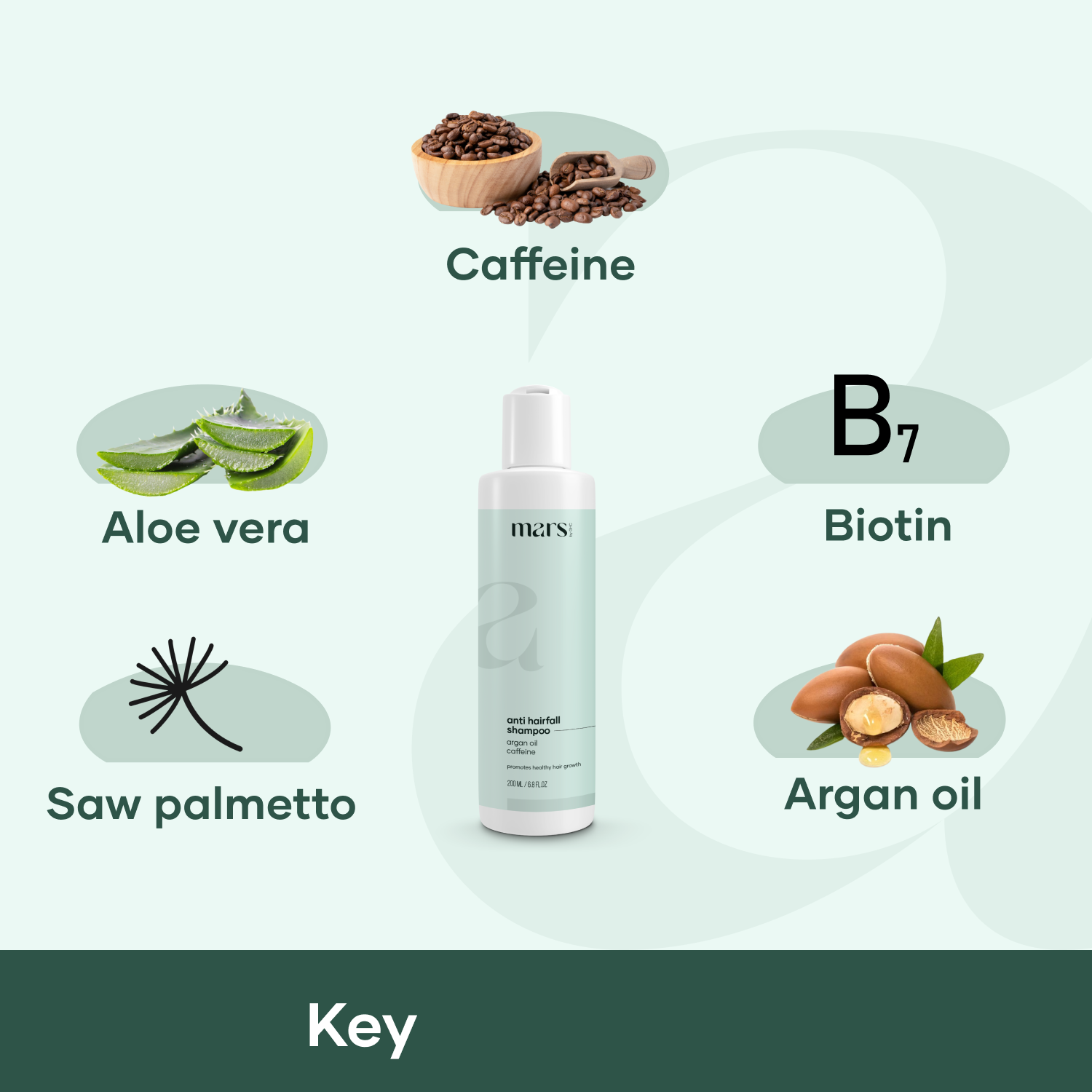 Best shampoo for hair fall