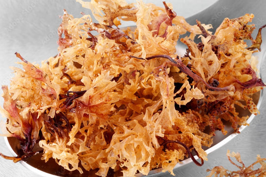 Sea Moss Revealed: Discover How Sea Moss Can Transform Your Health